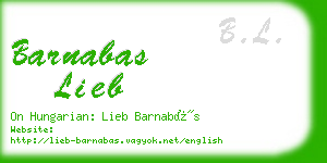 barnabas lieb business card